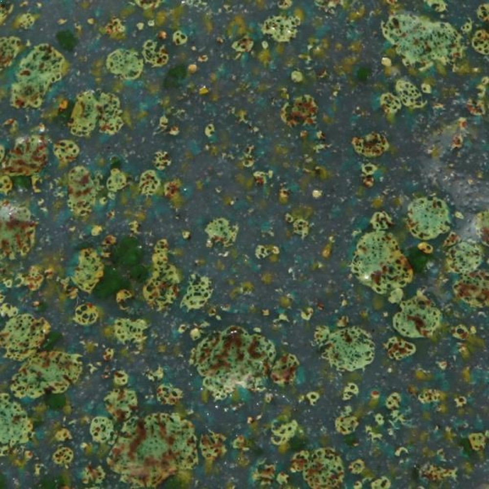 Mountain Moss - 16 oz